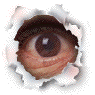 eyeflash.gif (15624 bytes)
